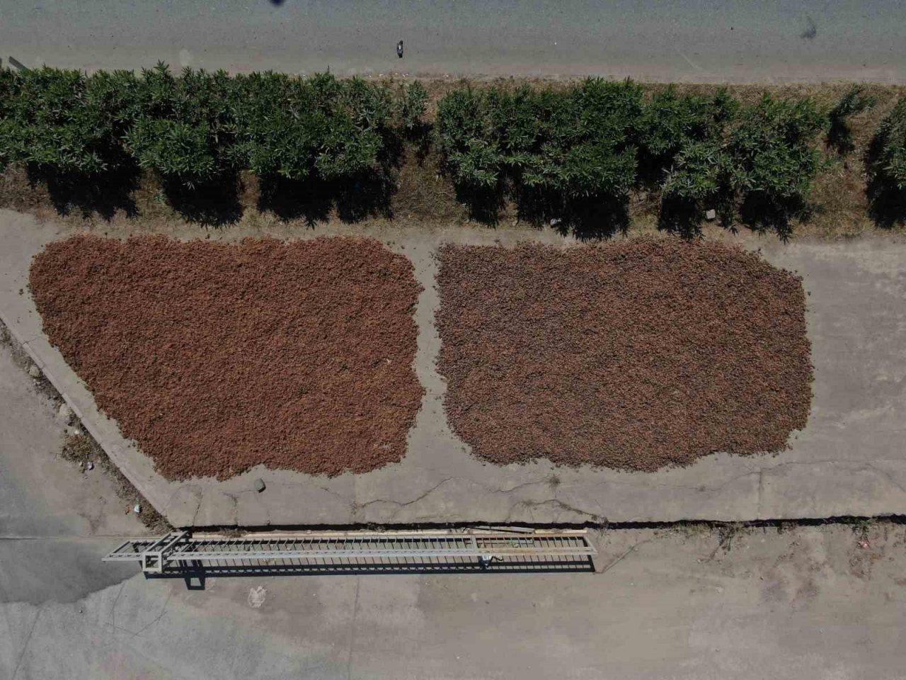 En büyük korkuları yağmurun yağması