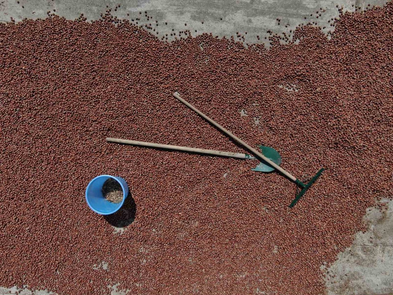 En büyük korkuları yağmurun yağması