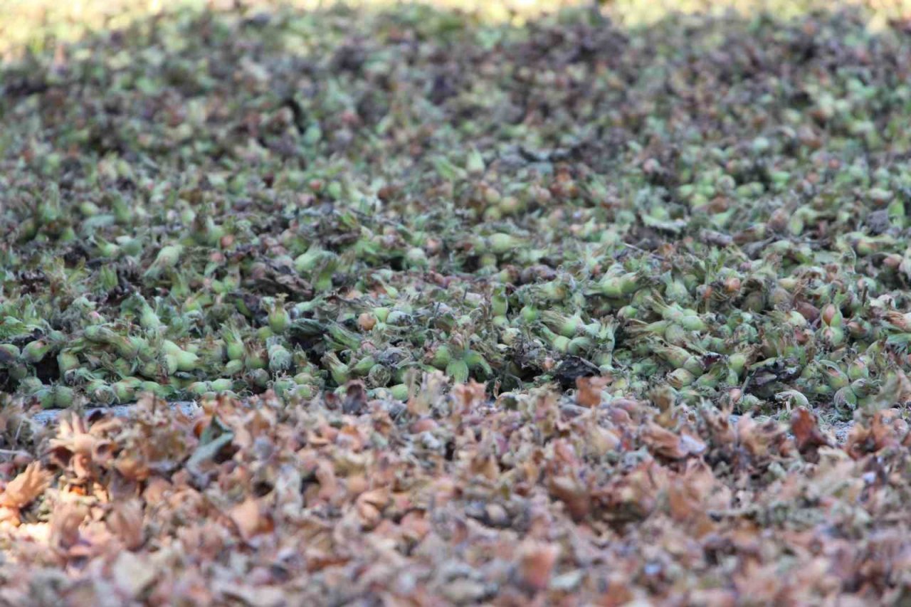 En büyük korkuları yağmurun yağması