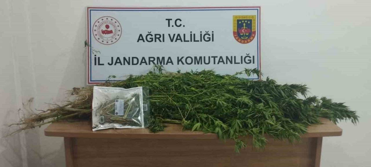 Ağrı’da kaçakçılık ve uyuşturucu operasyonu: 143 gözaltı
