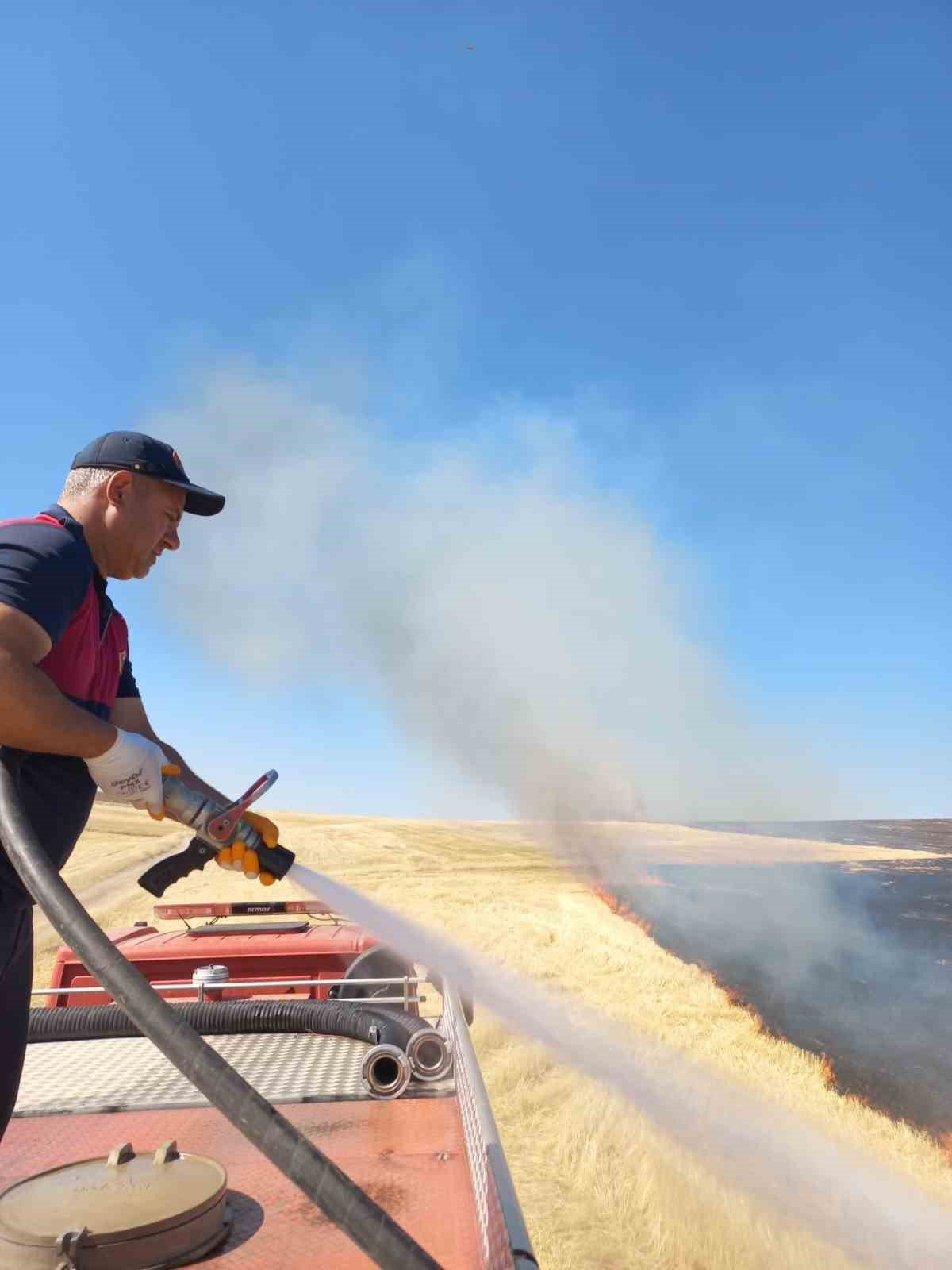 Ağrı’da onlarca dönüm ekili tarla küle döndü