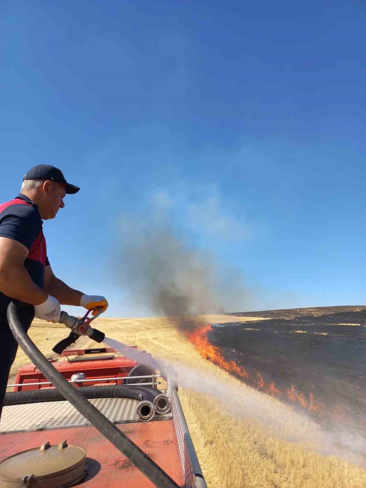 Ağrı’da onlarca dönüm ekili tarla küle döndü