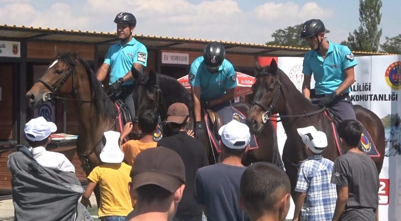 Muş’ta Malazgirt Zaferi’nin 952. yıl dönümü coşkusu yaşanıyor