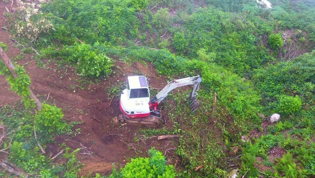 Artvin’de bozuk orman sahaları ve doğal afetlerde zarar görmüş alanlar fidan dikimi için hazırlanıyor