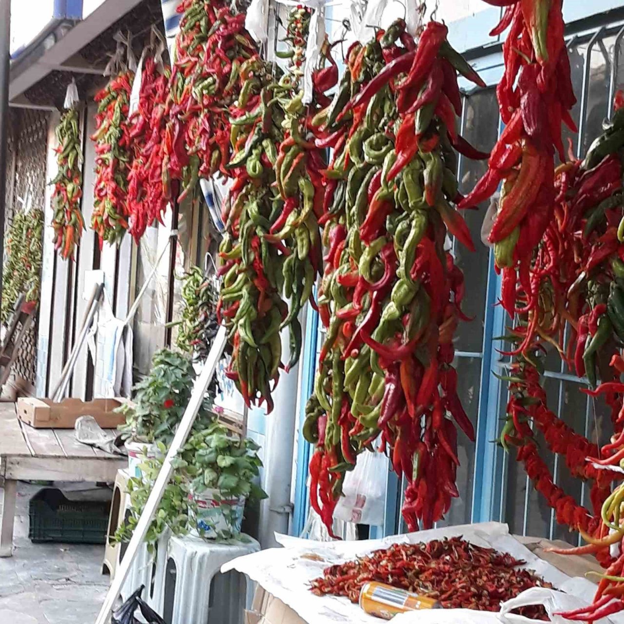 Karacasu’da tarihi semerciler arastası rengarenk oldu