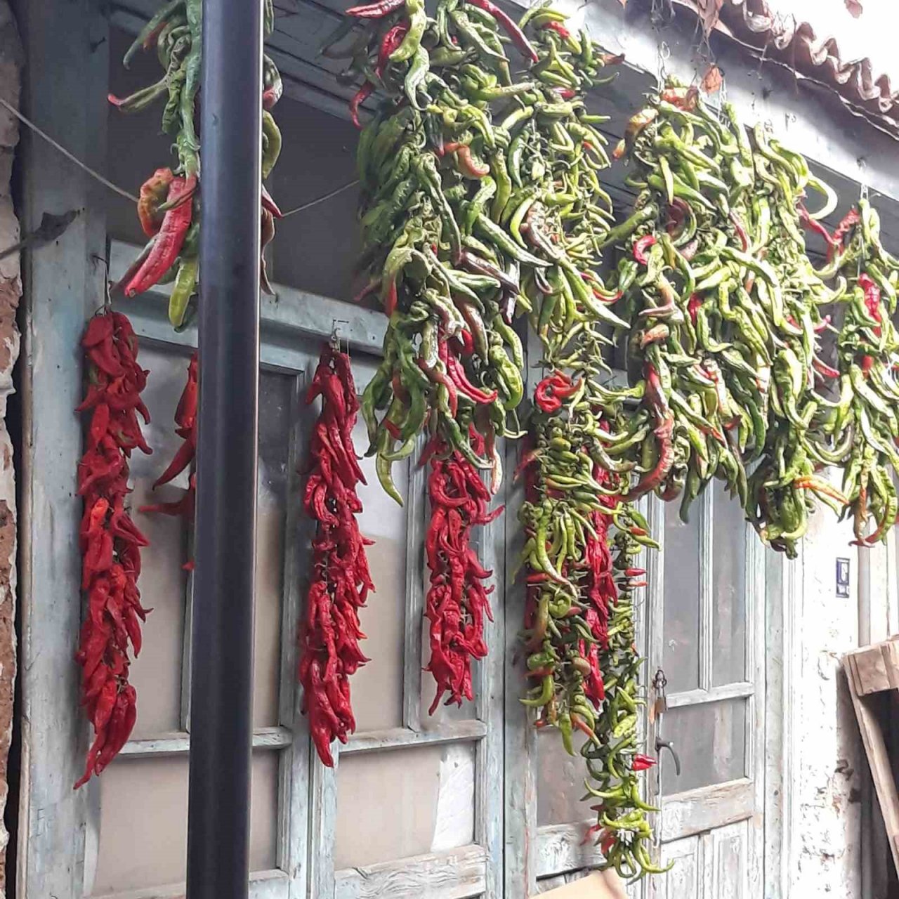 Karacasu’da tarihi semerciler arastası rengarenk oldu