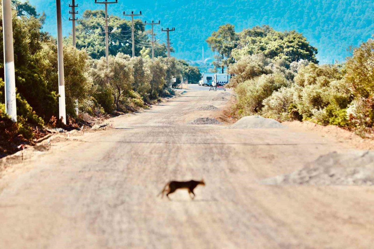 Didim’de bisiklet yolları için çalışmalar başladı