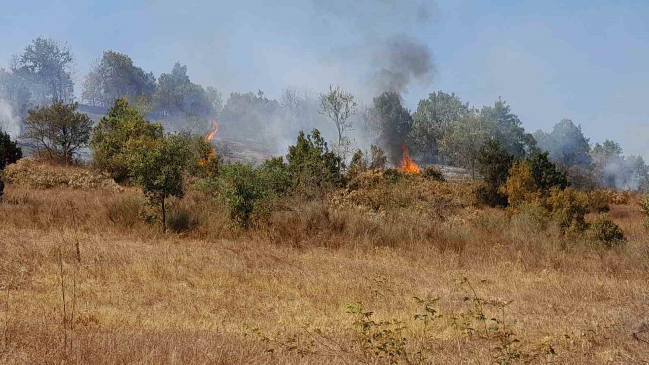 Bilecik’te orman yangınına karadan havada müdahale ediliyor
