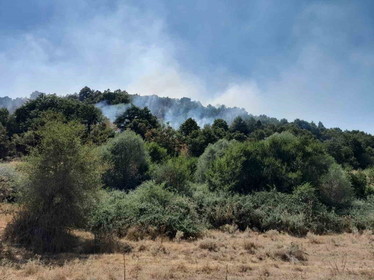 Bilecik’te orman yangınına karadan havada müdahale ediliyor