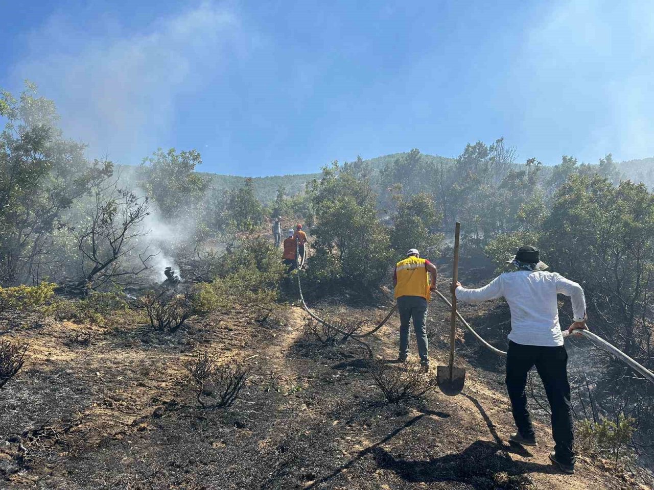 Bingöl’de çıkan orman yangını kontrol altına alındı