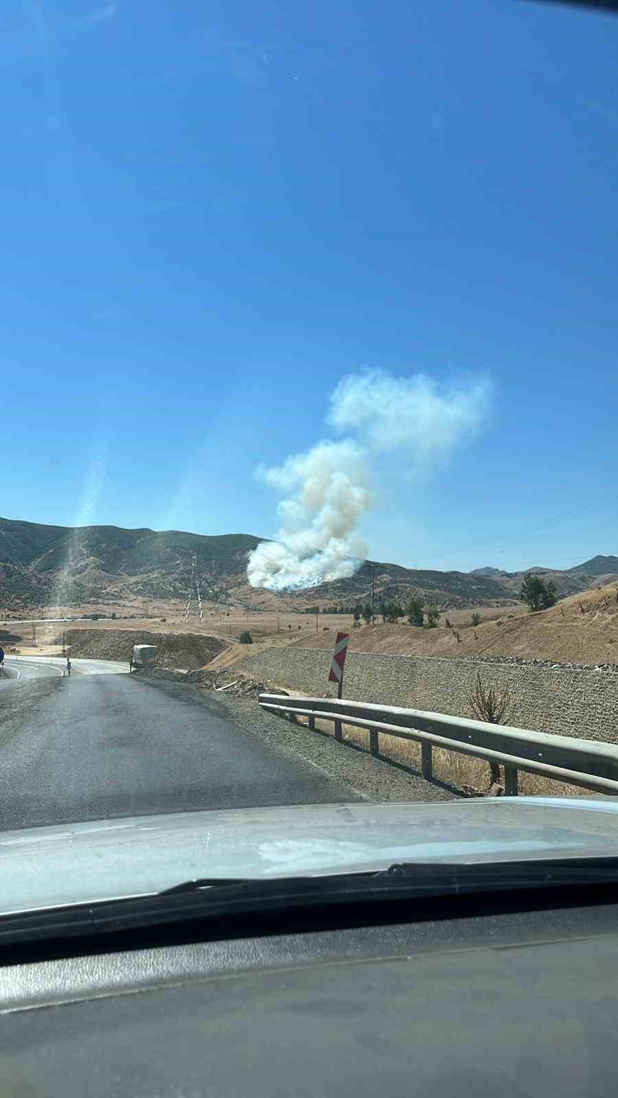 Bingöl’de çıkan orman yangını kontrol altına alındı