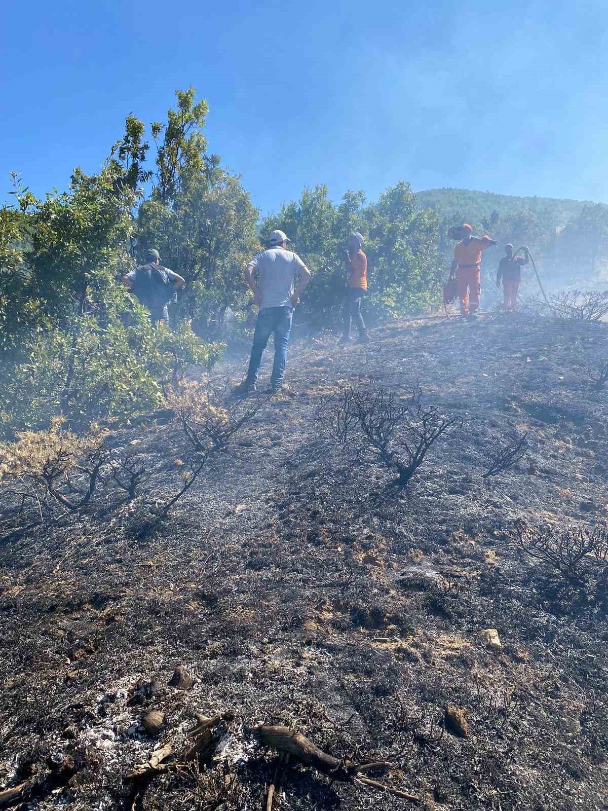 Bingöl’de çıkan orman yangını kontrol altına alındı