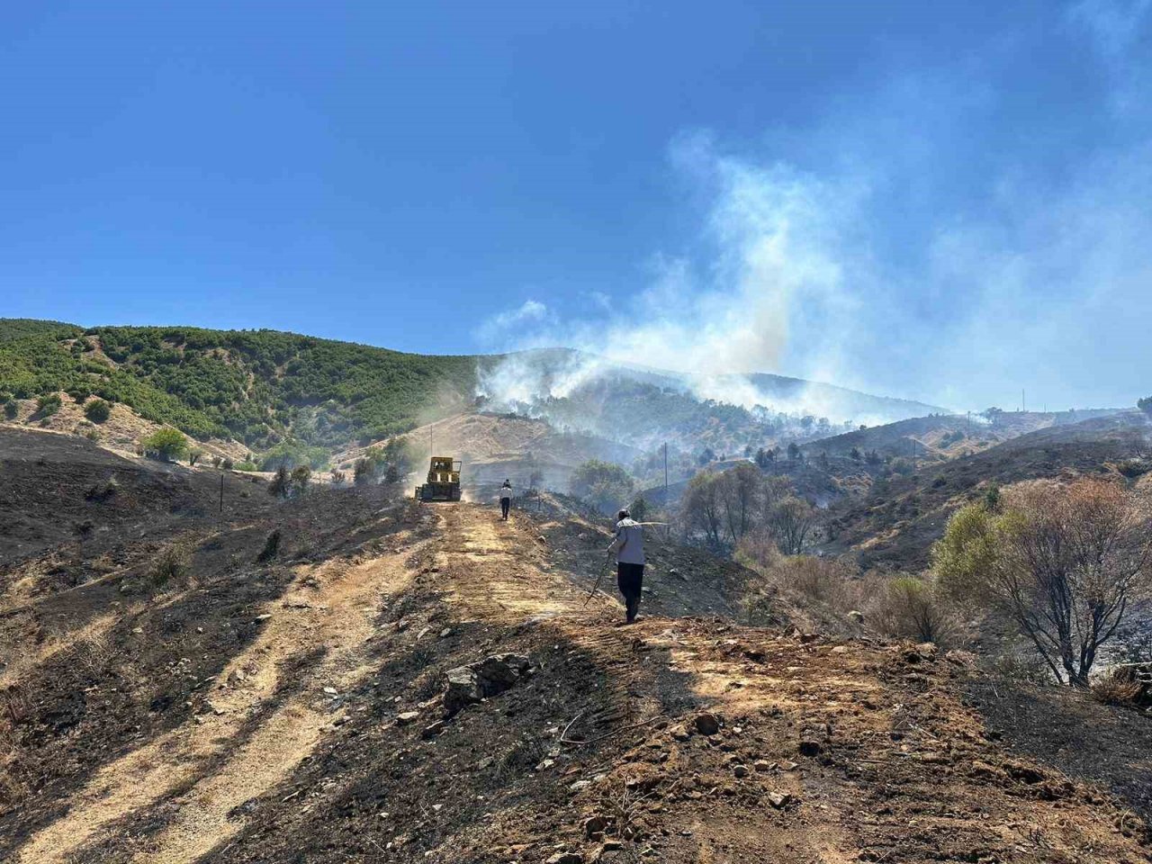 Bingöl’de çıkan orman yangını kontrol altına alındı