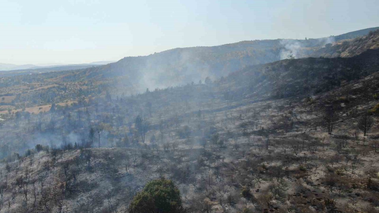 Ilgaz Dağı’ndaki orman yangını kontrol altına alındı: 15 hektar alan küle döndü