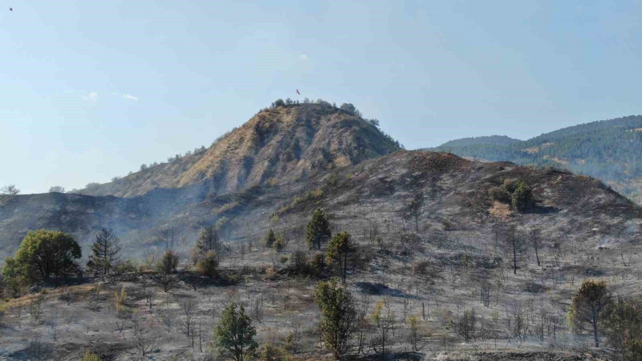 Ilgaz Dağı’ndaki orman yangını kontrol altına alındı: 15 hektar alan küle döndü