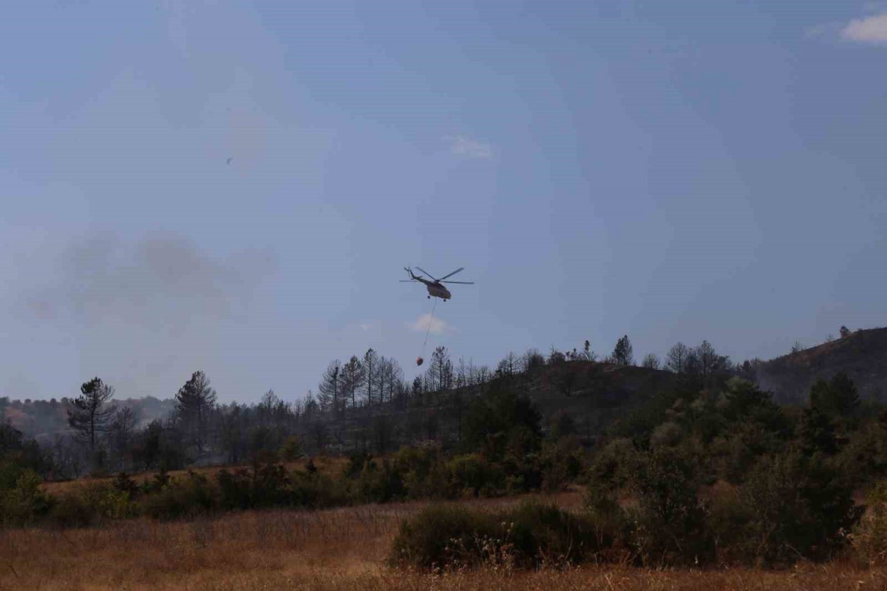 Ilgaz Dağı’ndaki orman yangını kontrol altına alındı: 15 hektar alan küle döndü