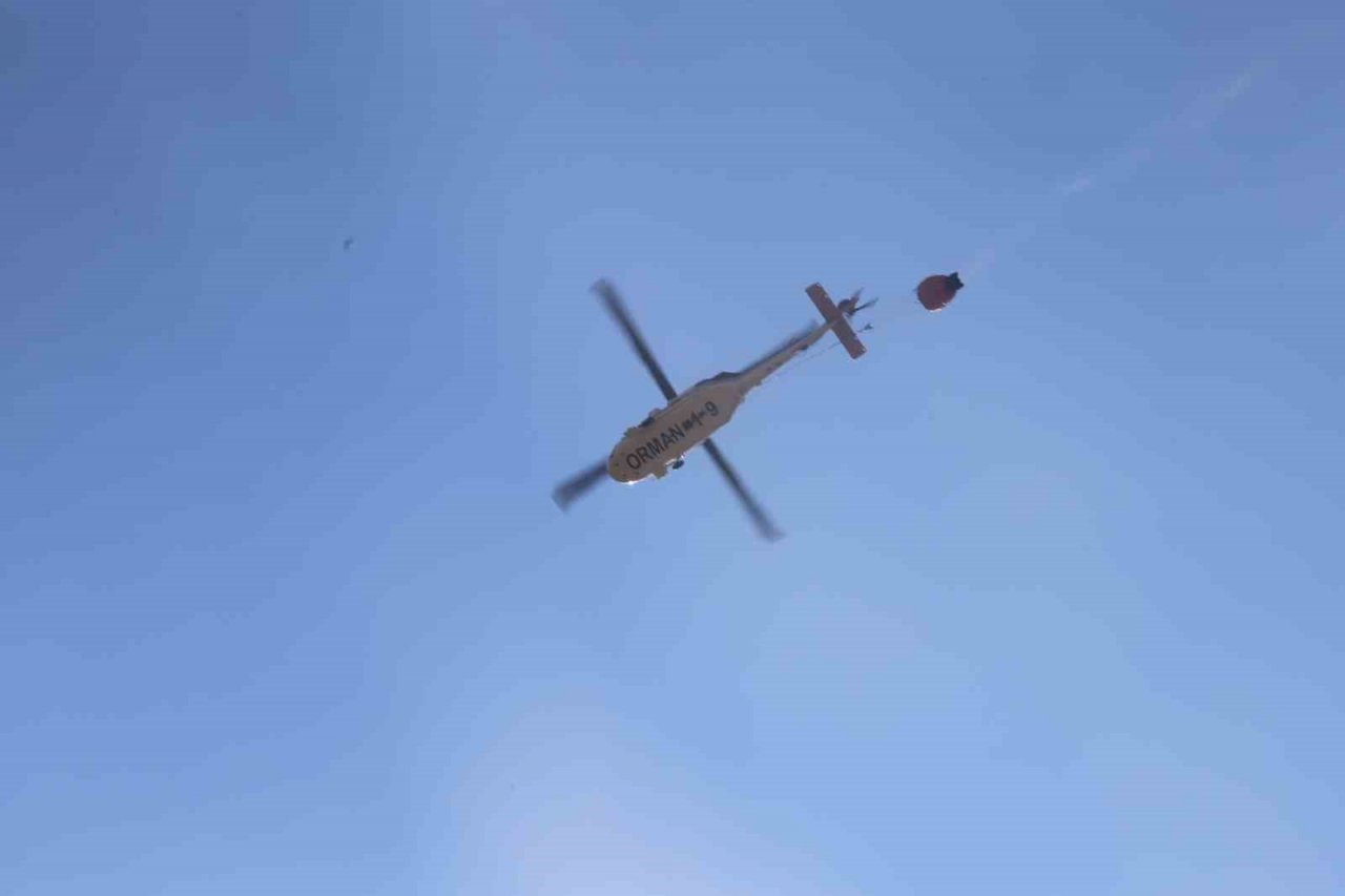 Ilgaz Dağı’ndaki orman yangını kontrol altına alındı: 15 hektar alan küle döndü