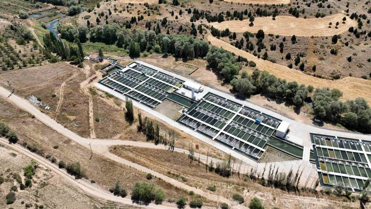 Denizi olmayan Kayseri’de 250 milyon alabalık yavrusu üretiliyor