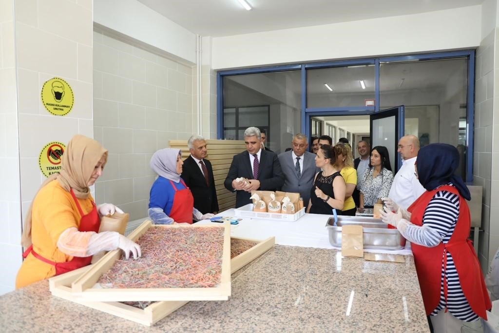 Vali Aslan “Ekonomimize de önemli katkılar sağlıyor”