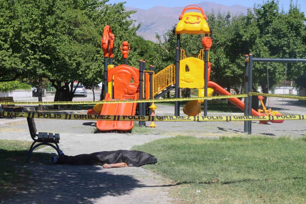 Erzincan’da parkta şüpheli ölüm