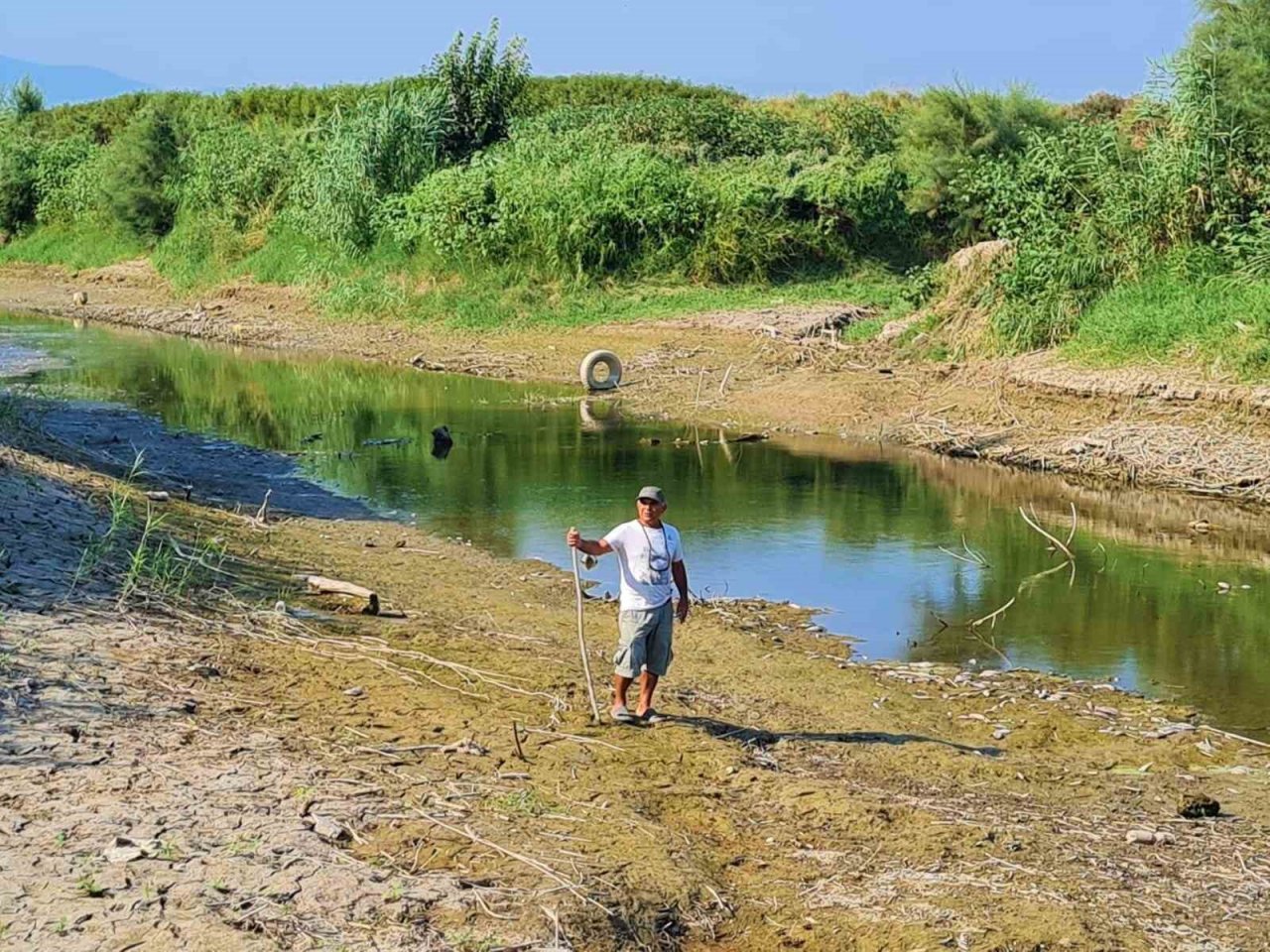 Menderes kurudu, yüzlerce balık ölmeye başladı