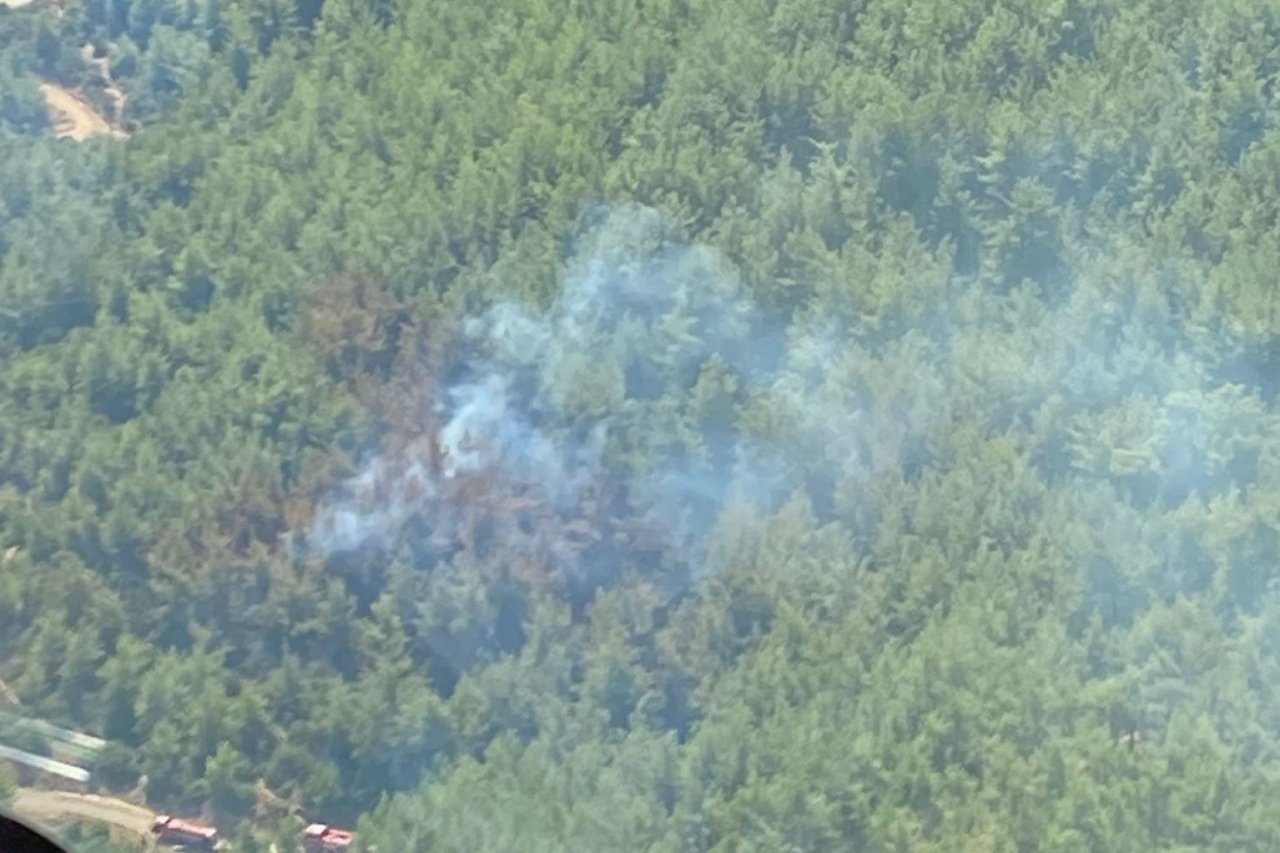 İzmir’de orman yangını büyümeden söndürüldü