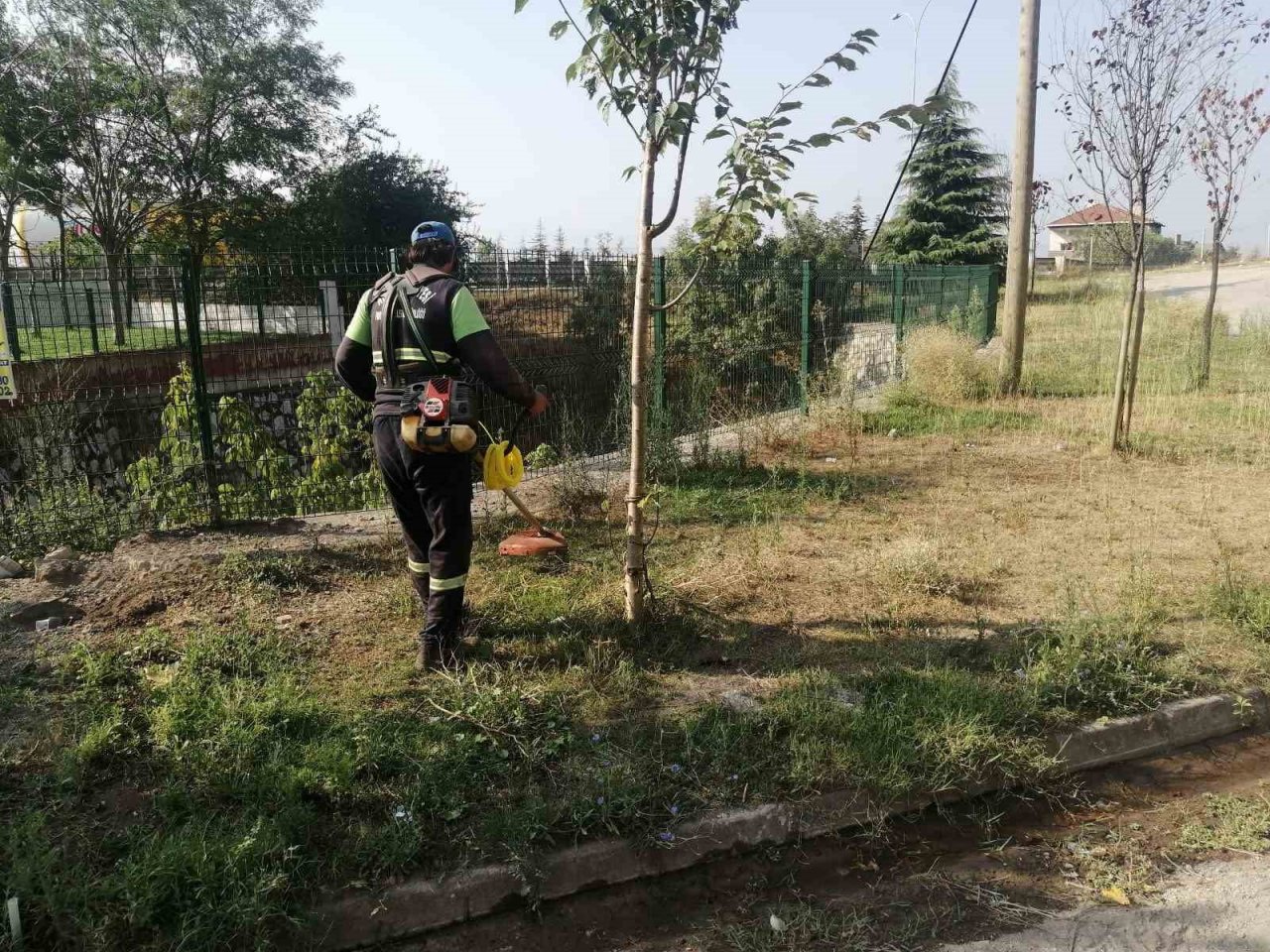 Körfez yabani otlardan temizleniyor