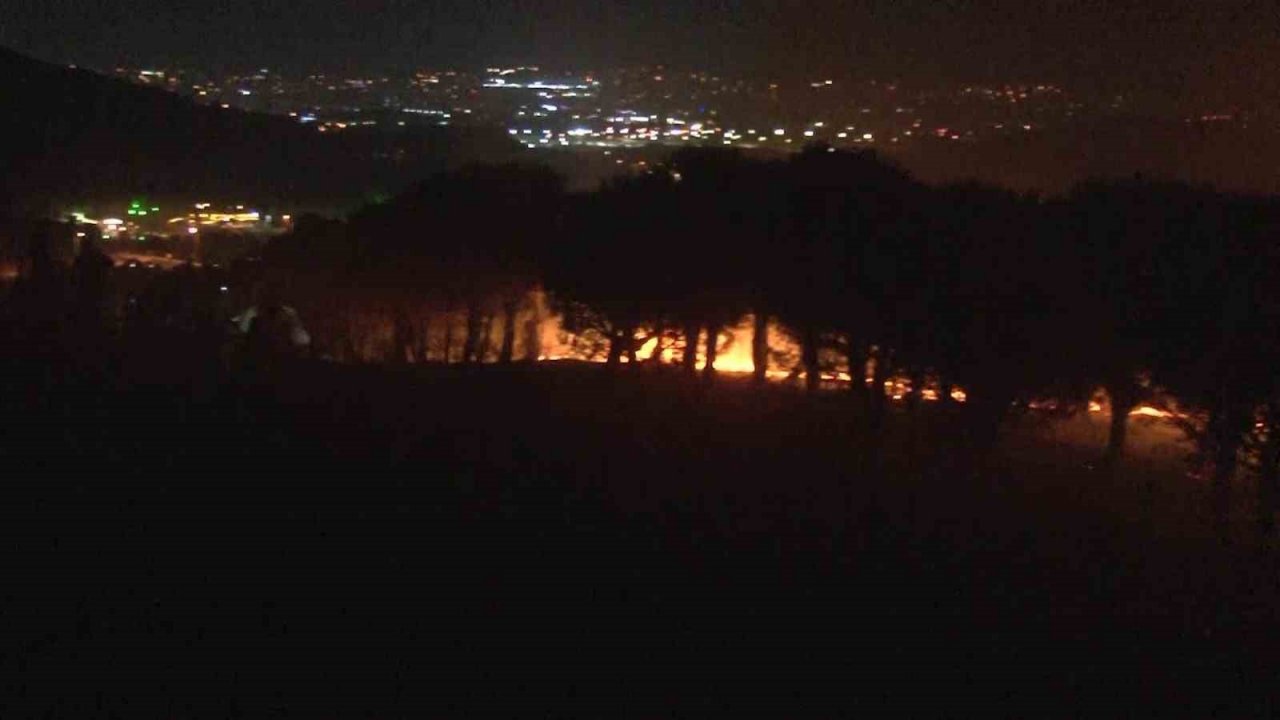 Maltepe’de çıkan orman yangını kontrol altına alındı, 3 hektar alan zarar gördü