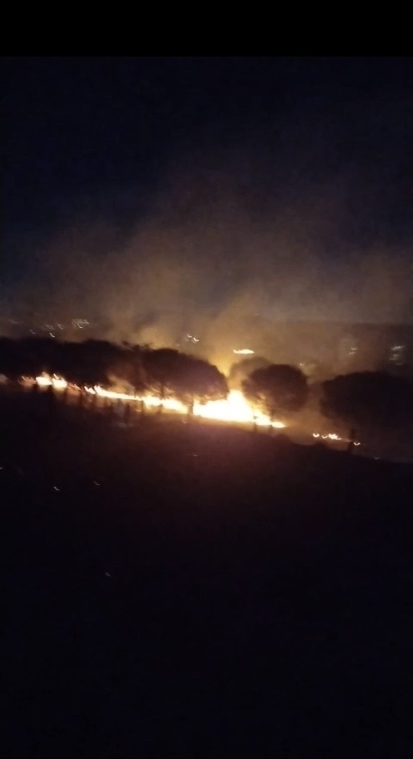 Maltepe’de orman yangını: Ekiplerin müdahalesi sürüyor