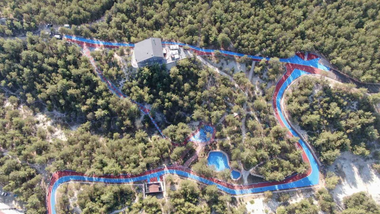 30 milyon liradan fazla harcama yapılan Çamlık Kent Ormanı yeniden hizmete açıldı