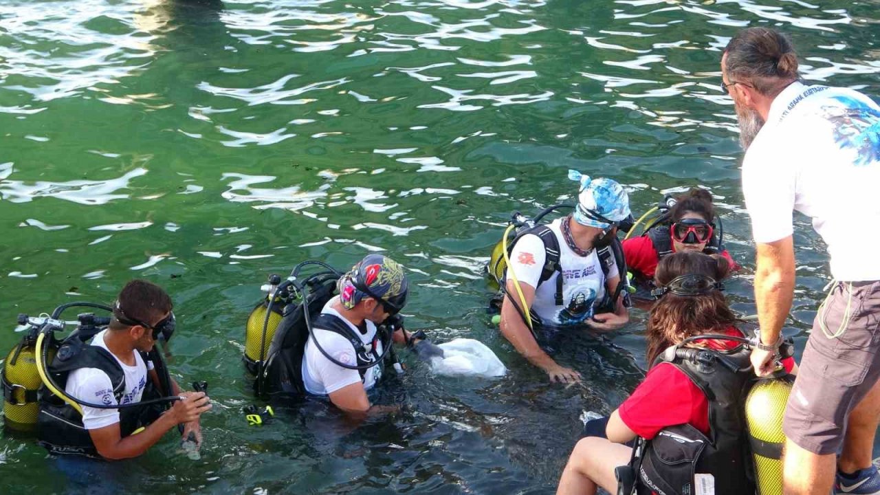 Edremit Belediyesinden çevre temizliği şenliği