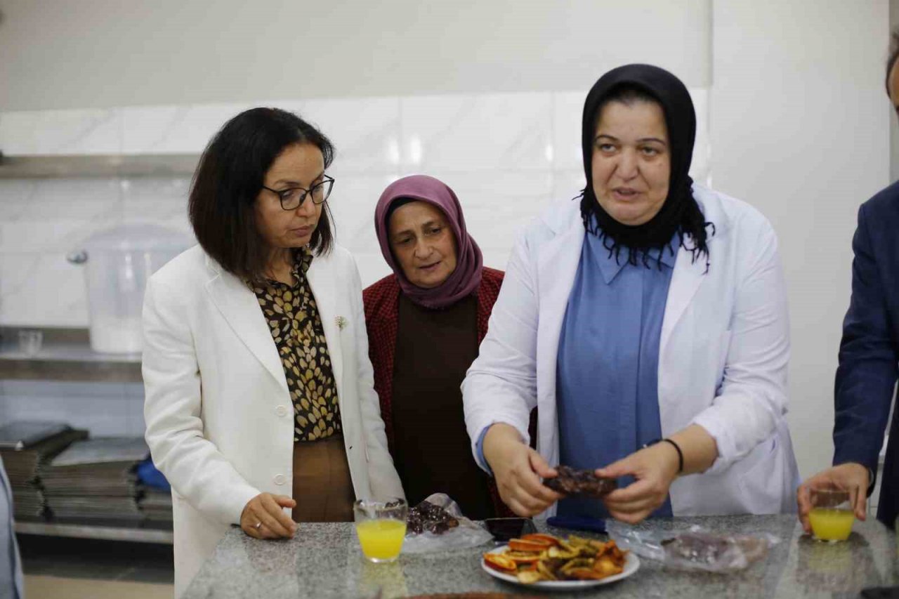 Vali Kaya, Altınova’nın tarihi ve doğal güzelliklerine hayran kaldı