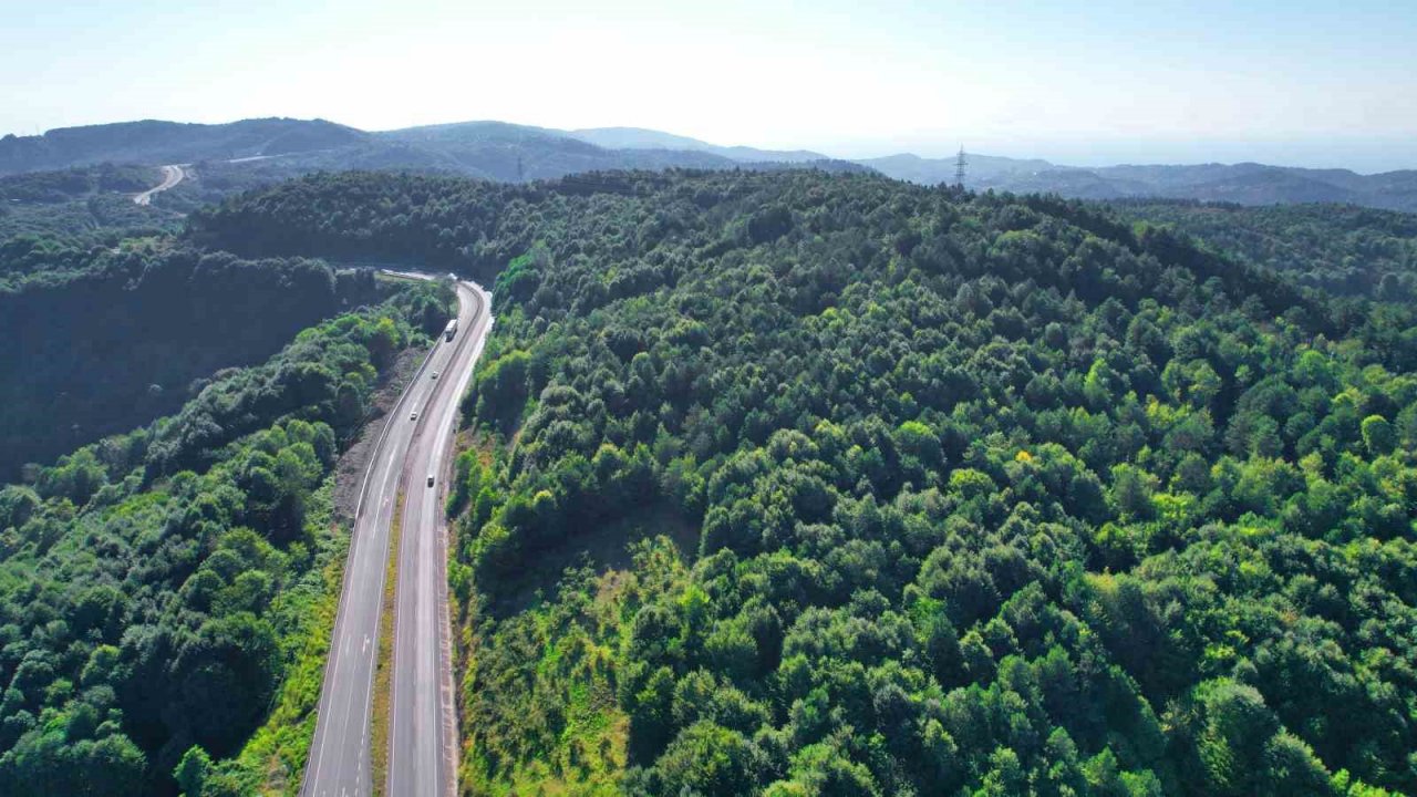 Zonguldak ormanları yazın son günlerini yaşıyor