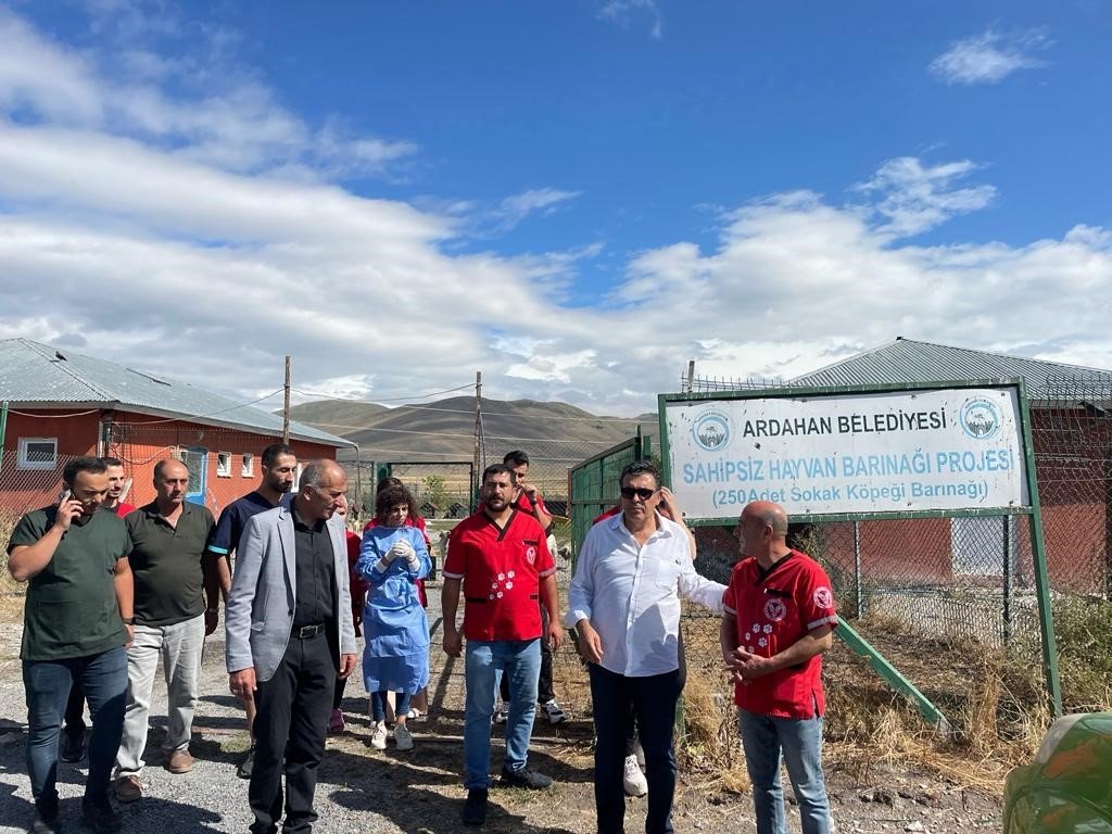 Barınaktaki hayvanları kısırlaştırıp bakımını yaptılar