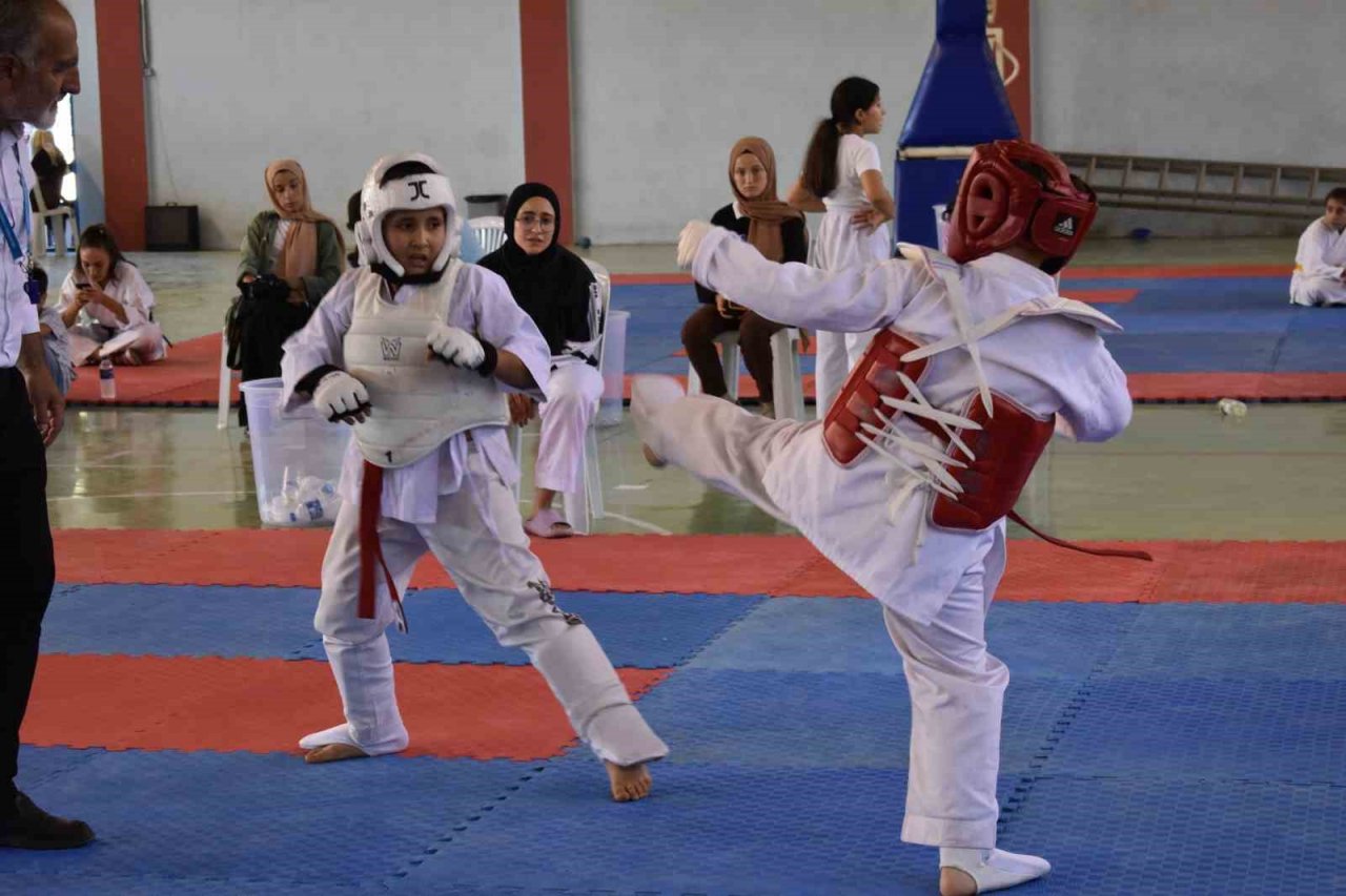 Budokaido Turnuvası, Ulus ilçesinde sporcuları bir araya getirdi