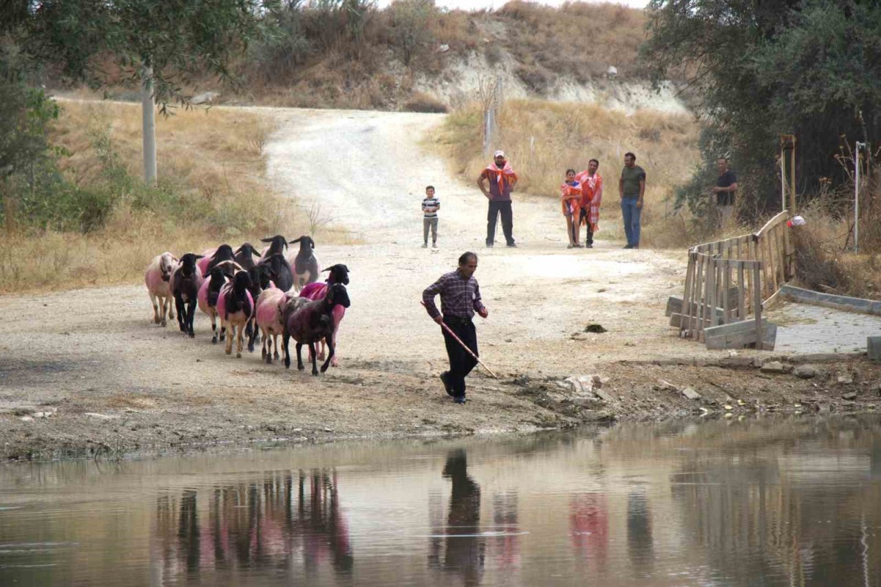 Sudan Koyun Geçirme Yarışması renkli görüntülere sahne oldu
