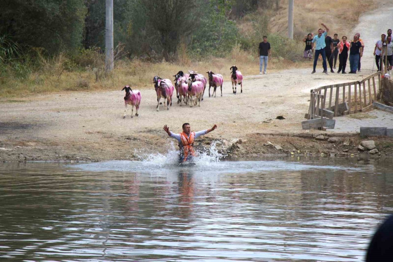 Sudan Koyun Geçirme Yarışması renkli görüntülere sahne oldu