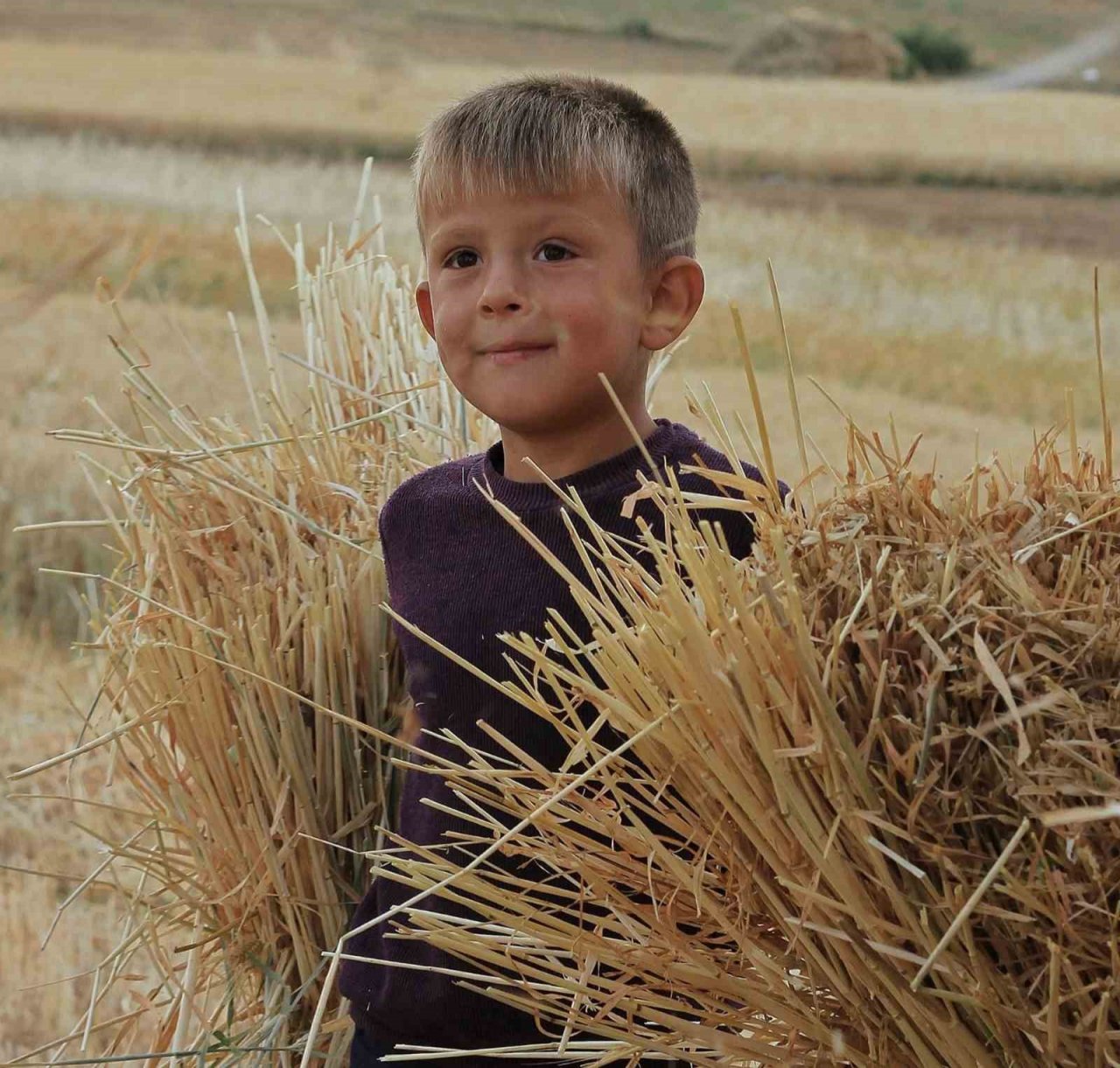 Kahramanmaraş’ta buğday hasadı hem geleneksel hem de teknolojik yöntemlerle başladı