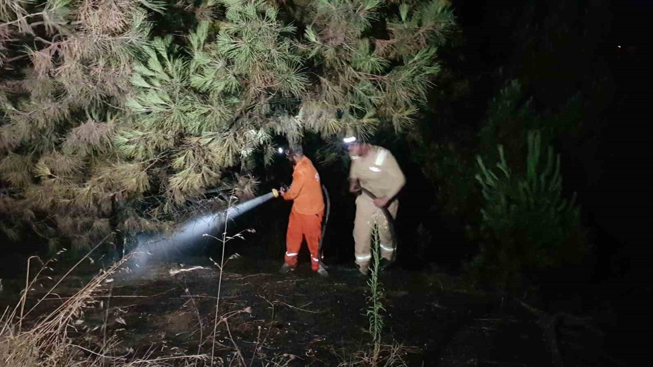 Karabük’te korkutan örtü yangını