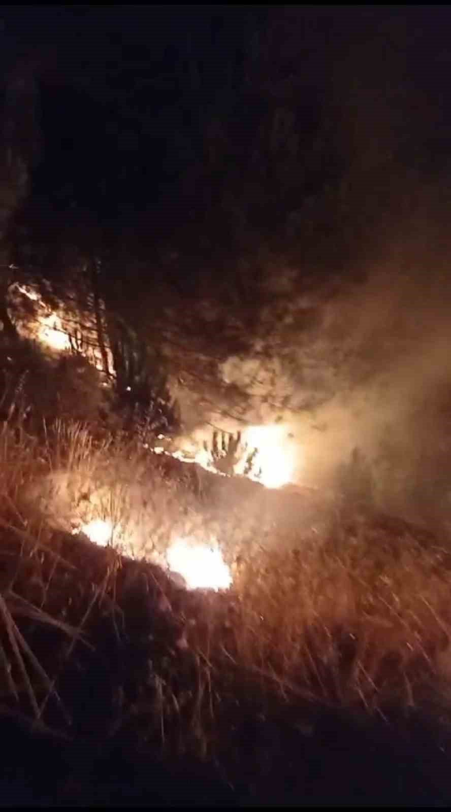 Karabük’te korkutan örtü yangını