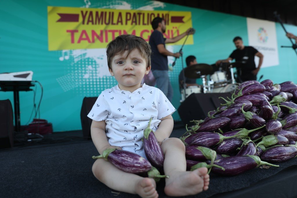 Yamula Patlıcan Festivali’ne 10 Binlerce Kişi Katıldı