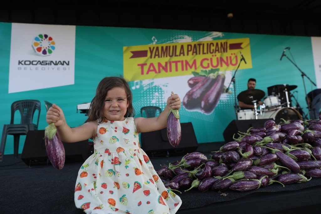 Yamula Patlıcan Festivali’ne 10 Binlerce Kişi Katıldı