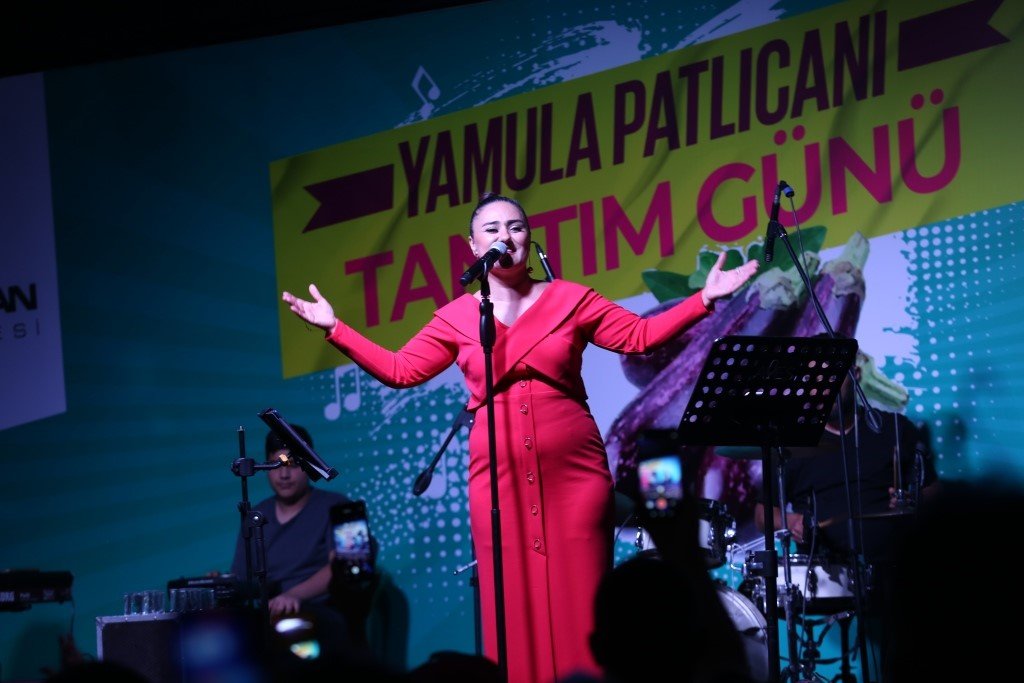 Yamula Patlıcan Festivali’ne 10 Binlerce Kişi Katıldı