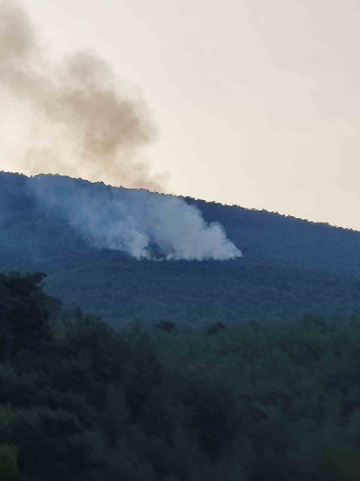 Spil Dağı’na düşen yıldırım orman yangını çıkardı