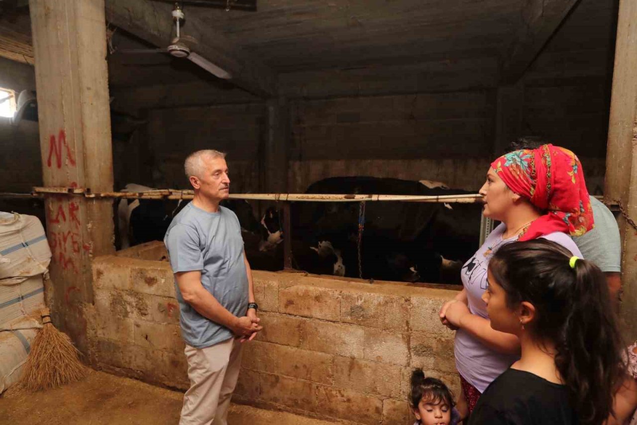 Şahinbey’de hayvancılık gelişiyor