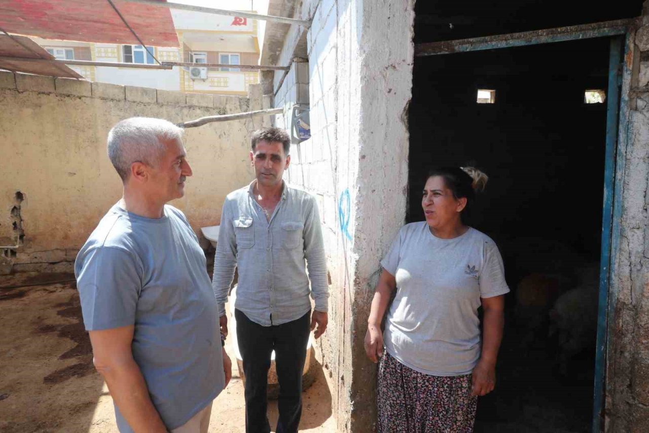 Şahinbey’de hayvancılık gelişiyor