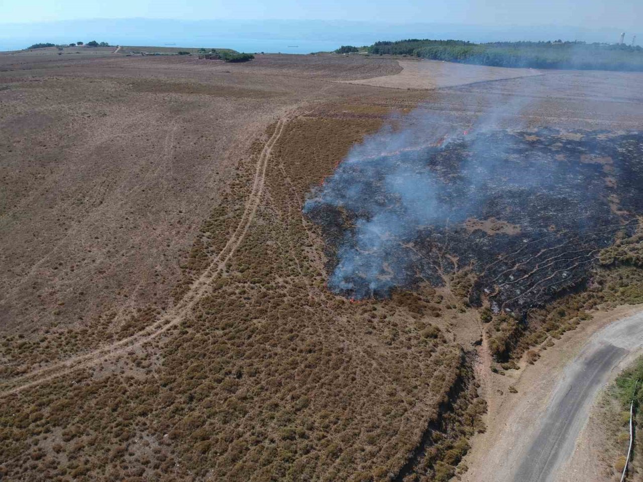 Sinop’ta makilik alanda yangın