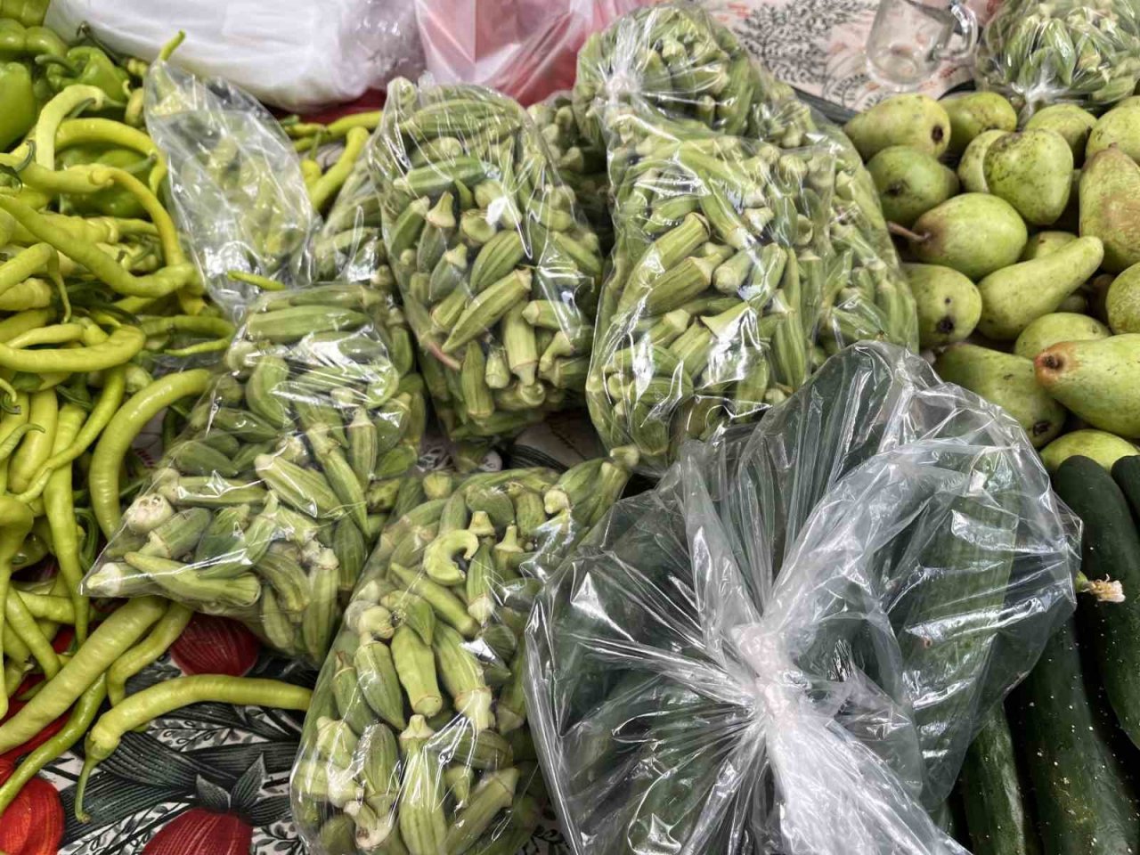 Bamyanın kilosu 100 lira