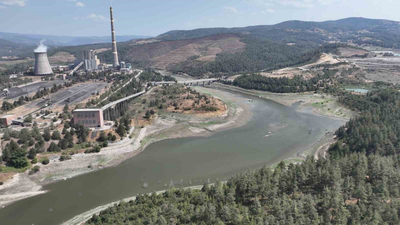 Çınarcık Barajı’nı besleyen Kocasu Deresi’nde balık ölümleri
