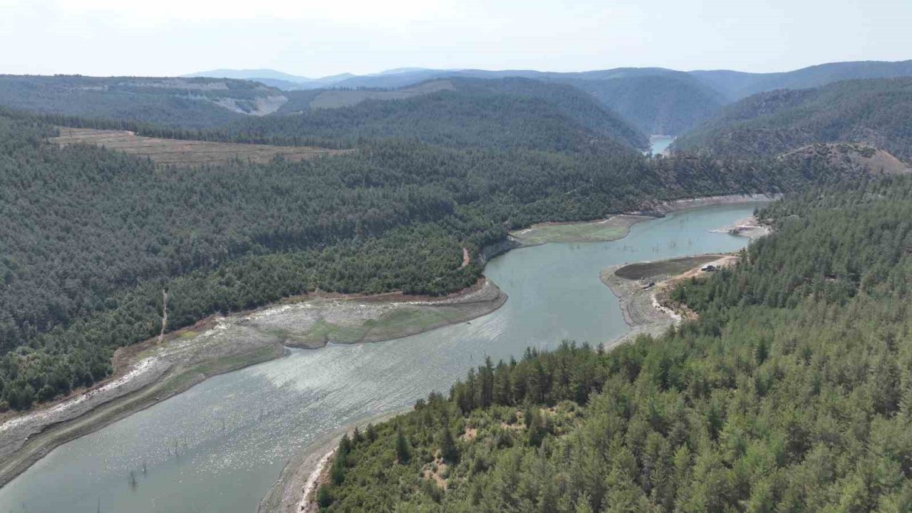 Çınarcık Barajı’nı besleyen Kocasu Deresi’nde balık ölümleri